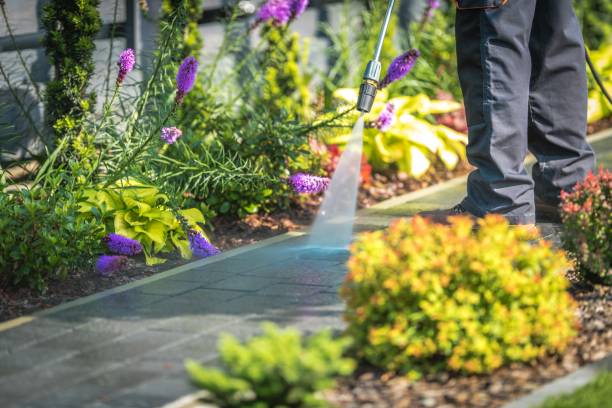 Best Winterizing Services  in Bolivar, MO